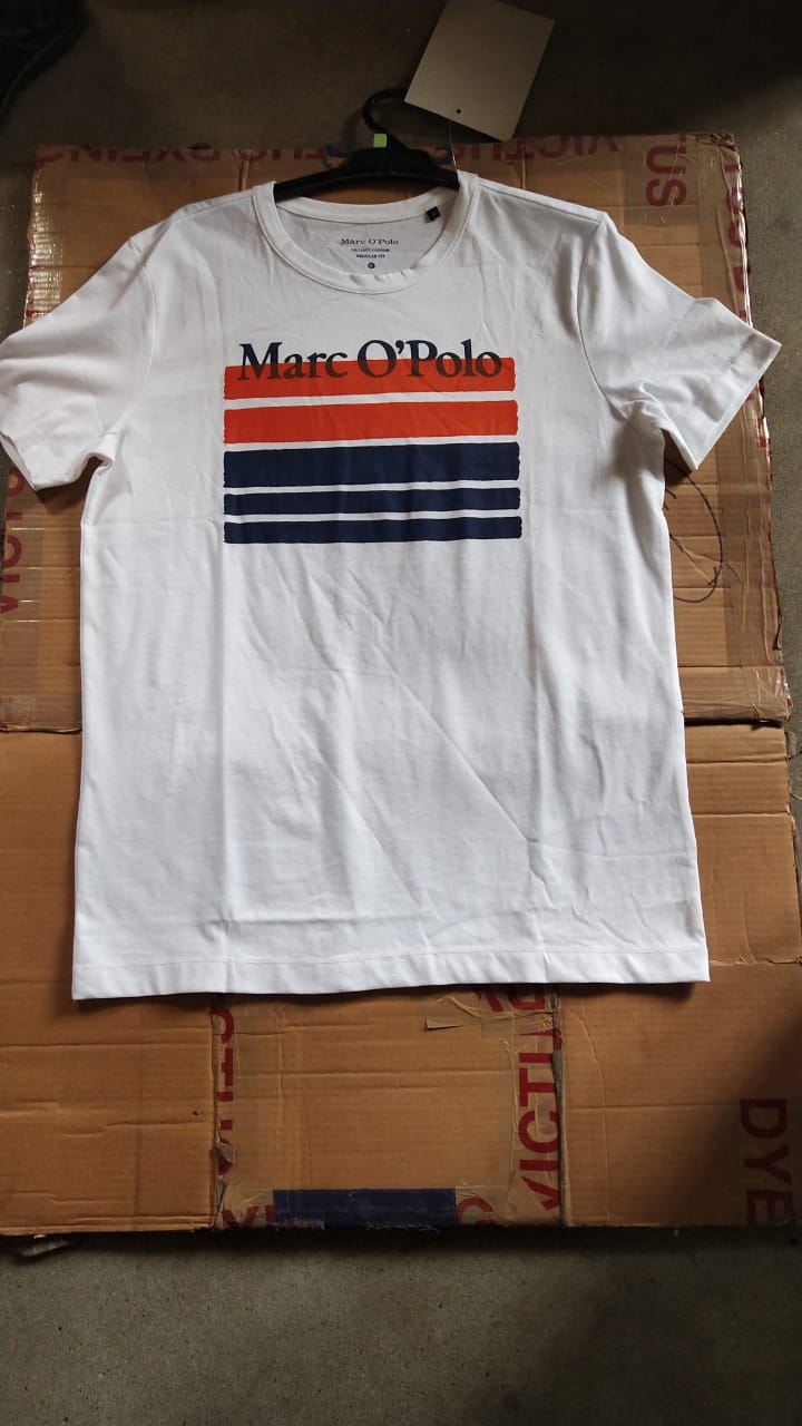 marco polo t shirt price in india