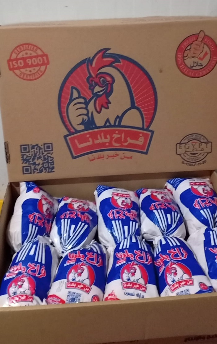 48241 - Chicken Egypt